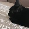 legoman_587
