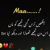 amirshahzadofficial84