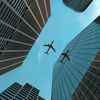 Flying_🛫_Birds✈️
