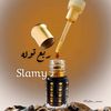 slamy.alketbi