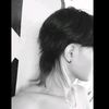 mastulus__