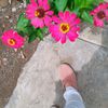 st.faatima_