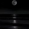 praivet_66