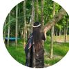 ahmedeyasin44