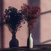 khadija_20245