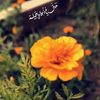 fatoopv