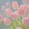 mary290112