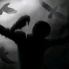 _flo1