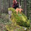 halfbearadventures