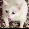 jayyjayyg1