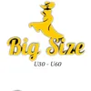 shopbigsize.design