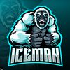 icemanlocks0