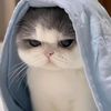 nathael_tm