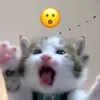 v_jxdeee