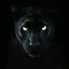 the_panther_240