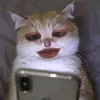 saobinneee