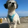 cindyott0