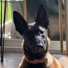 rufus0514