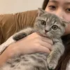 bwoaln23_