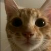 user76498097ola