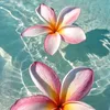 diane.__27