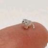 rat..x3