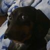 henry.penry