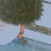mohan_ozil