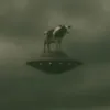 wefamilyzero
