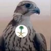 sgr..alshmal.509