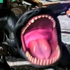banguela_com_dente