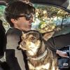 dog_slbr