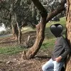 ahmadahmad13209