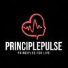 principlepulse
