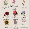 joory_05