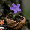nguyenhuuhuy109