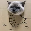 hehetbyeol