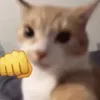 spinachsoup.com