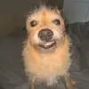 lukas_21145