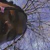 tune_23