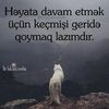 agdam_086