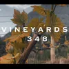 vineyards348