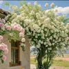lekimhuyen247