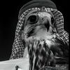 hadialq