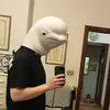 nicologalli__