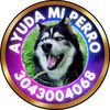 ayudamiperro