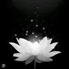 phuongtam83