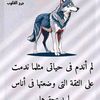 mnmnmnmnmn082