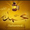 fallouka294