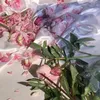 uzumqk1_